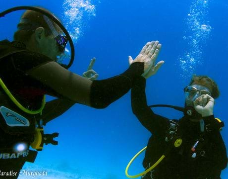 PADI Scuba Diver Course